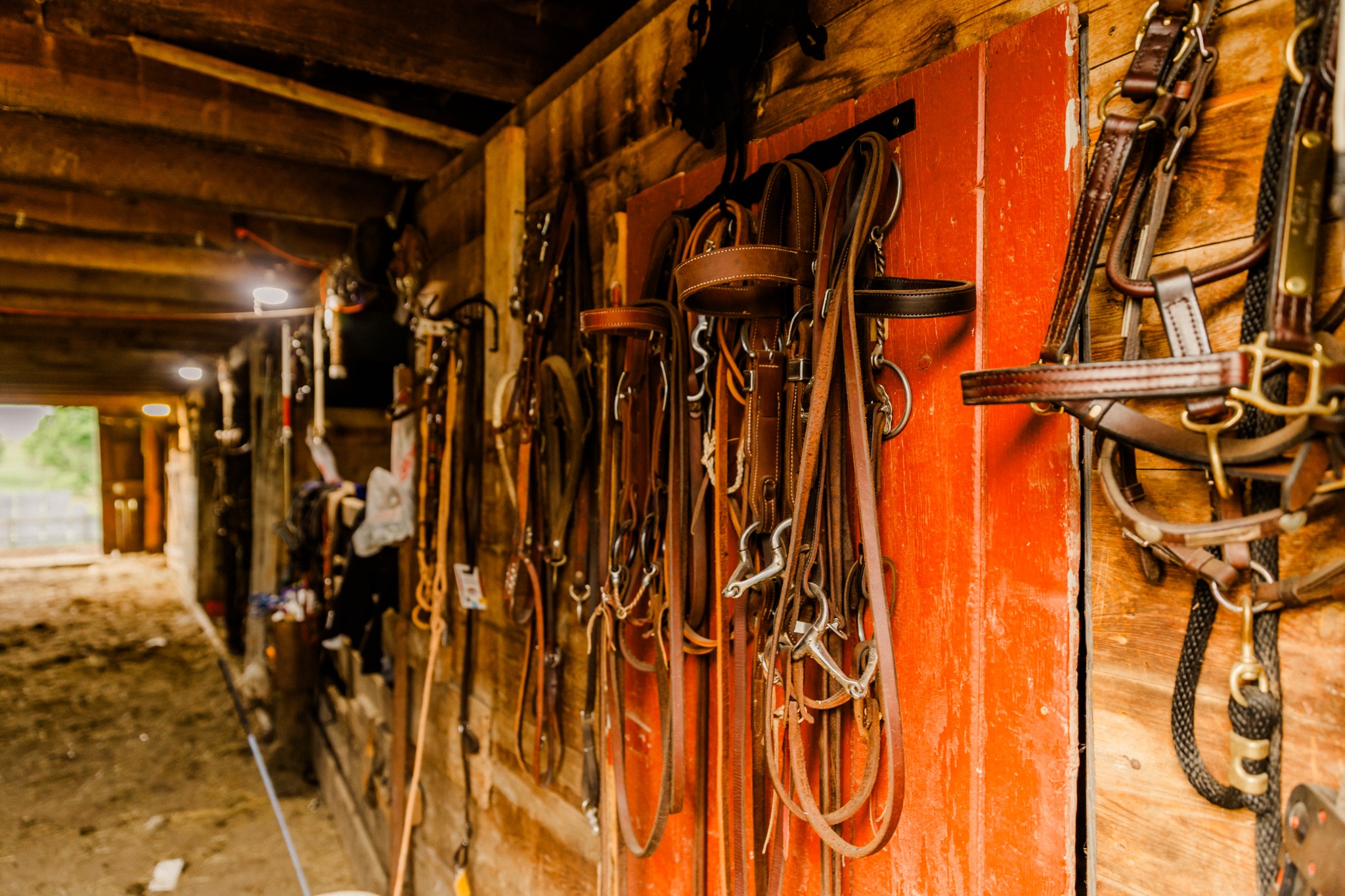 Working tack arranged inside the Miner Ranch barn
